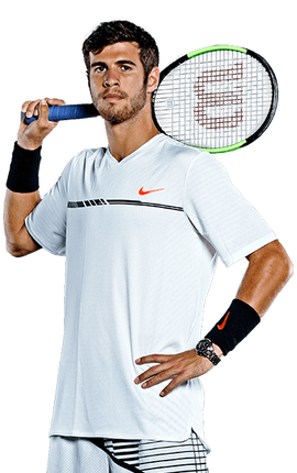 也为其他武 也为其他武